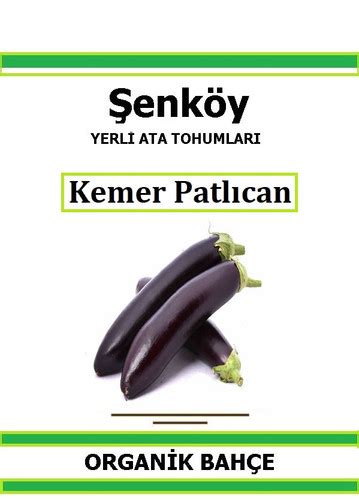 Şenköy Kemer Patlıcan Tohumu Yerli Ata Tohum Pakette 20 Tohum ANADOLU