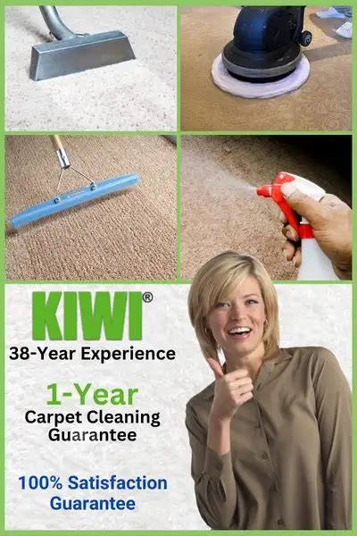 Wool Carpet Cleaning - KIWI Cleaning Services