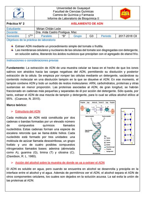 Aislamiento De Adn Y Reacciones De Identificaci N Del Adn Warning Tt