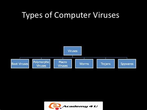 Computer Virus Names Of Computer Virus