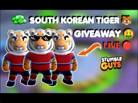 SOUTH KOREAN TIGER GIVEAWAY LIVE STUMBLE GUYS LIVE