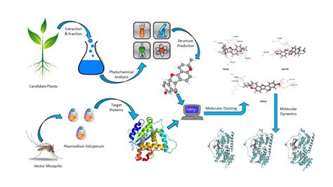 Exploratory Analysis Into The In Vitro And In Silico Activity Of E