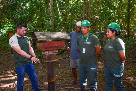 Bioparque Da Amaz Nia Reabre Melipon Rio Aproximadamente Mil