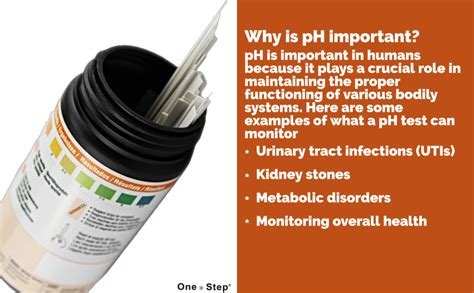 One Step Ph Urine Test Strips 100 Strips Testing Alkaline