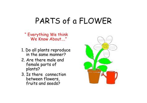 Flower parts and its functions