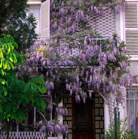 Am Nagez Votre Balcon Pour L T Plantes Pour Se Prot Ger Du Soleil