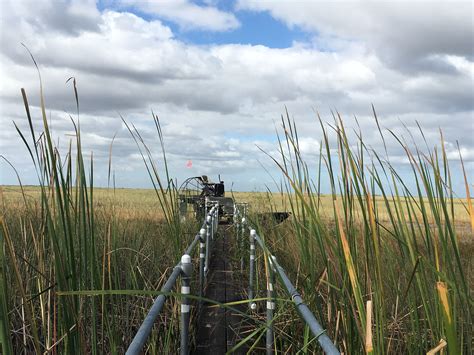 florida everglades tours - Airboat In Everglades