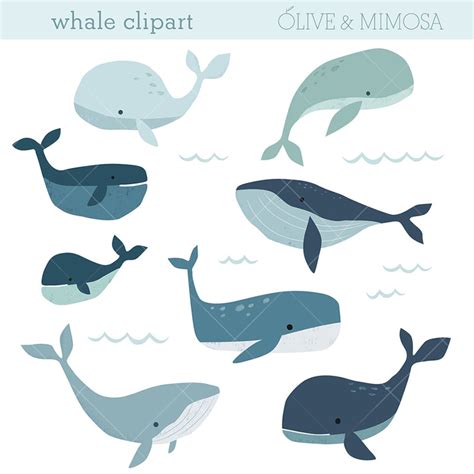 Whale Clip Art Images , Cute Whale Illustrations, Ocean, Sea Life ...