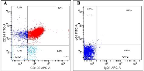 A The Flow Cytometry Graph Shows That Cd133 Cd34 82 0