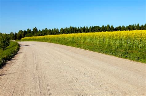 Premium Photo Rural Road