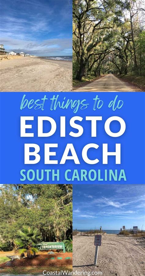 27 Best Things To Do In Edisto Beach Edisto Beach Edisto Island