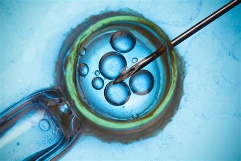 The Power Of Pgd And Pgs How Ivf Can Help Rule Out Genetic Disorders