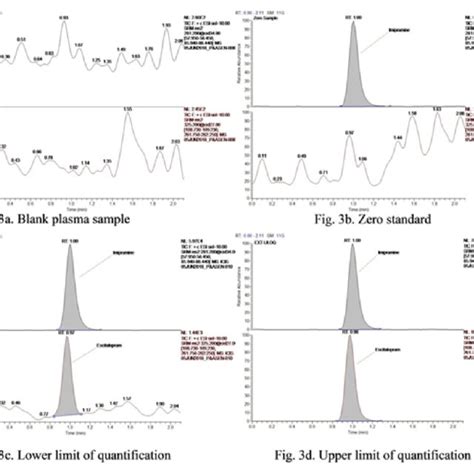 Representative Chromatograms A Blank Plasma Sample B Zero