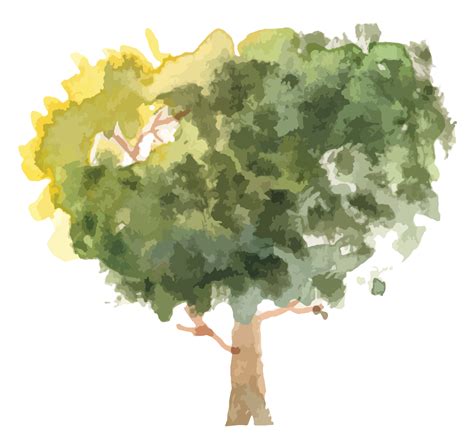 ilustración de acuarela de árbol dibujado a mano 11027802 PNG