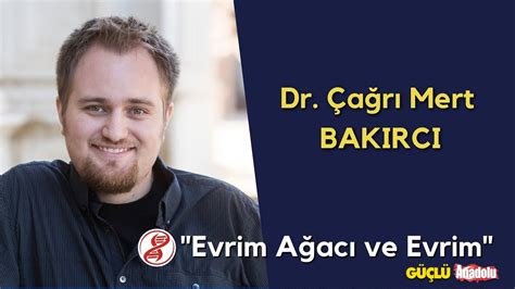 Evrim Ağacı Nedir Evrim Ağacı Kimin Güçlü Anadolu Gazetesi