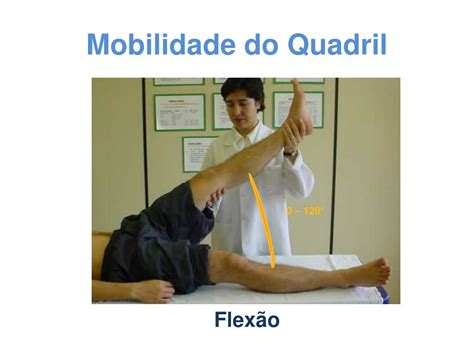 PPT Exame Físico do Quadril e Coxa PowerPoint Presentation free