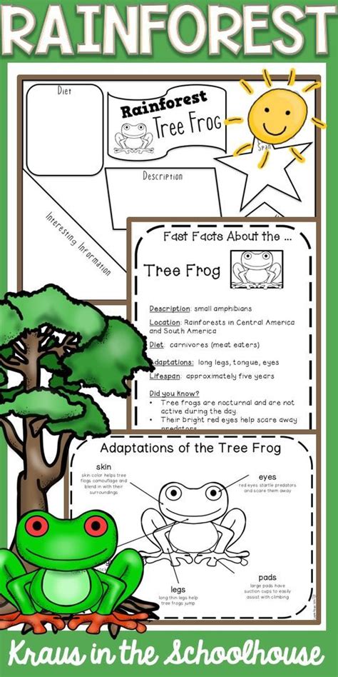 Rainforest animal adaptations worksheet pictures | Zoo Animals