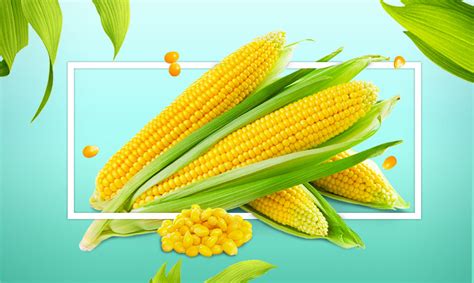 «Кукуруза! Горячая кукуруза! Кому кукурузы?» Corn, Vegetables ...