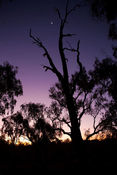 Amazing Outback Queensland Road Trip For An Unforgettable Experience