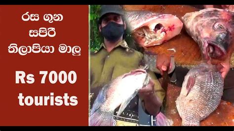 Tilapia Fish Cutting Sri Lanka Village Fish Market YouTube