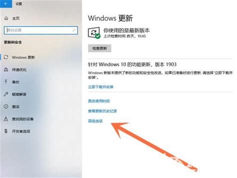 Win10怎么取消升级win11 Win10取消升级win11方法介绍 大地系统