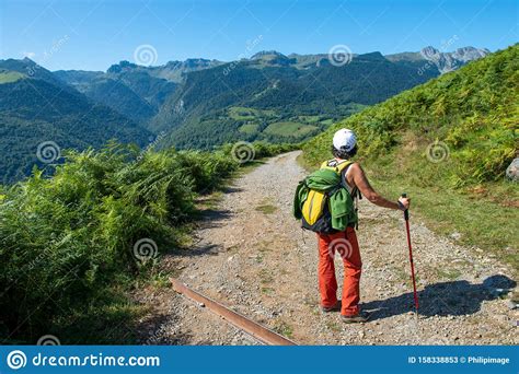 Woman hiker on a mountain stock image. Image of backpacker - 158338853