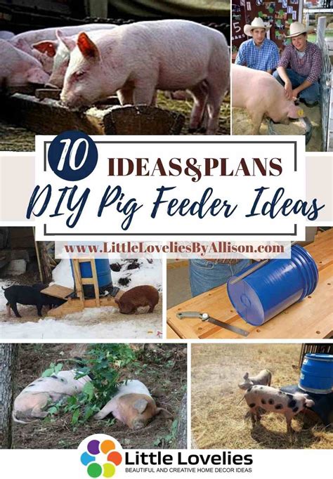 Homemade Outdoor Hog Feeders Homemade Ftempo