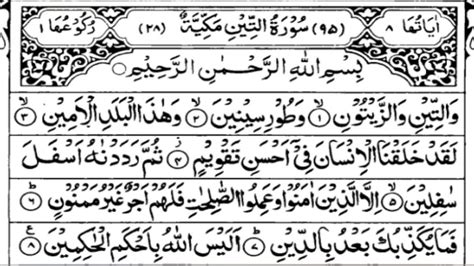 Surah At Tin Islamic Btv