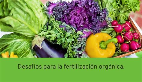 Desafíos Para La Fertilización Orgánica Fabricante De Fertilizantes