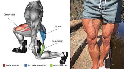 Minute Dumbbell Only Leg Workout Runoflif