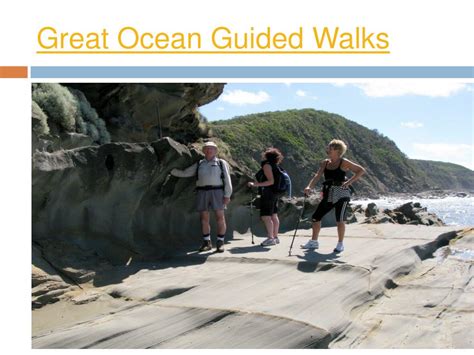 PPT - Great Ocean Walk & Great Ocean Walking Tours PowerPoint ...