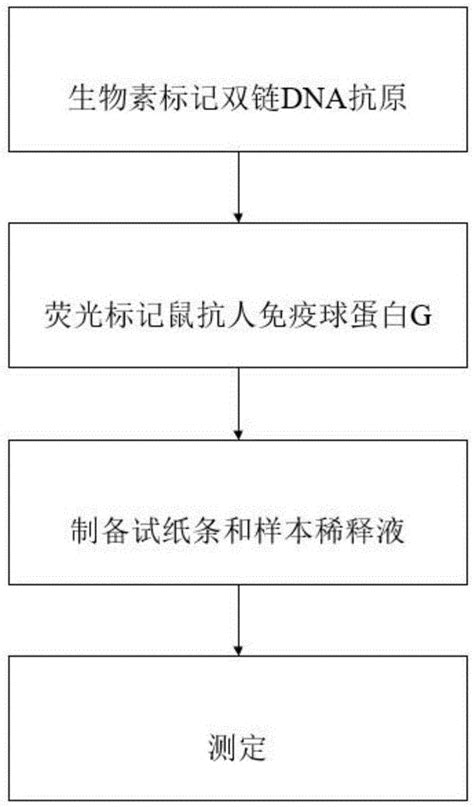 一种抗双链dna抗体快速检测方法与流程