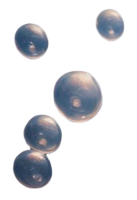 Transparent Bubbles PNG for Creative Projects (1)