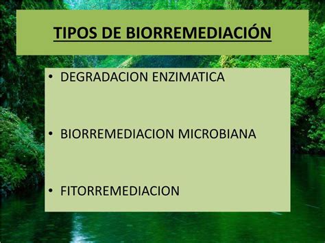 Ppt Biorremediacion De Suelos Contaminacion Por Hap S Powerpoint