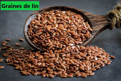 La graine de lin Ses bienfaits naturels sur notre santé