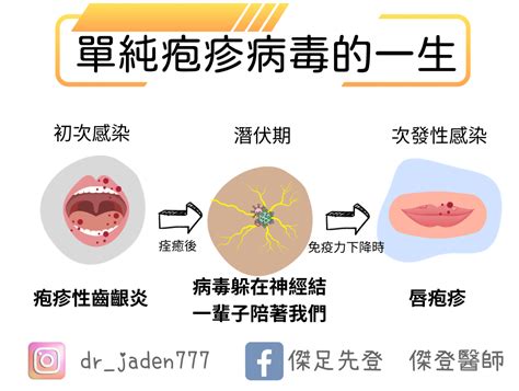 嘴巴長水泡，痛到受不了？ 單純疱疹、疱疹性齒齦炎