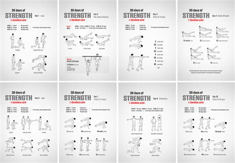 30 Day Muscle Building Workout Plan OFF 63