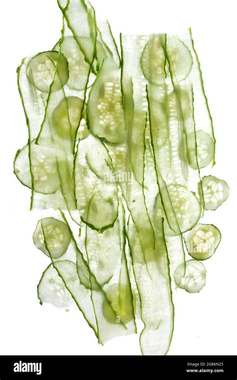 Fresh Sliced Transparent Cucumber On White Background Flat Lay Top