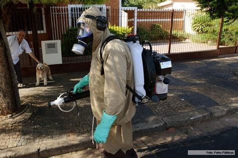 Confirman Las Dos Primeras Muertes Por La Epidemia De Dengue En Argentina