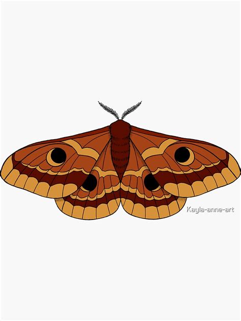 Luna Emperor Moth Sticker By Kayla Anne Art Redbubble