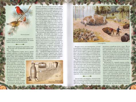 О лесе, каким его видели в конце позапрошлого века | Папмамбук