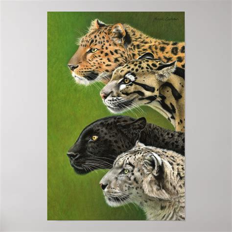 4 Leopards Poster Zazzle