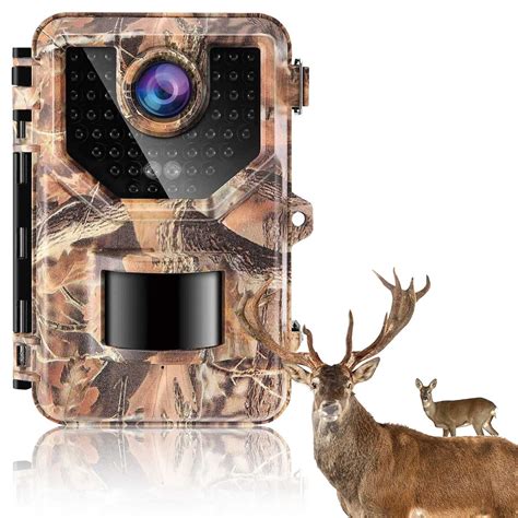 Buy Sesern Trail Camera P Mp Game Camera With Night Vision