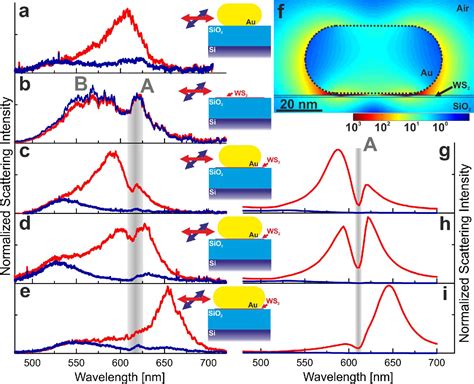 Figure 2 From Nanoantenna Enhanced Light Matter Interaction In