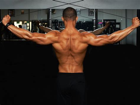 Lower Back Muscles Bodybuilding