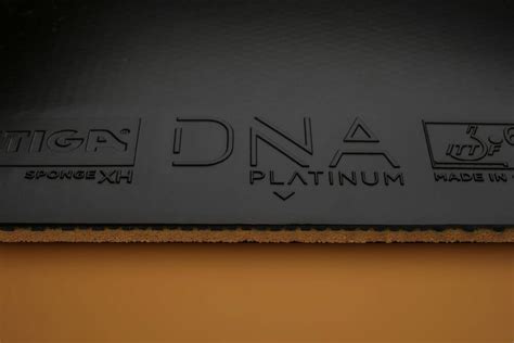 DNA Platinum XH | STIGA Sports