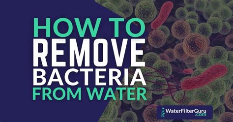 How To Remove Bacteria From Water