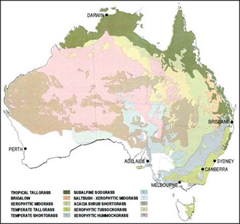 Australia Grassland | Grassland Groupies