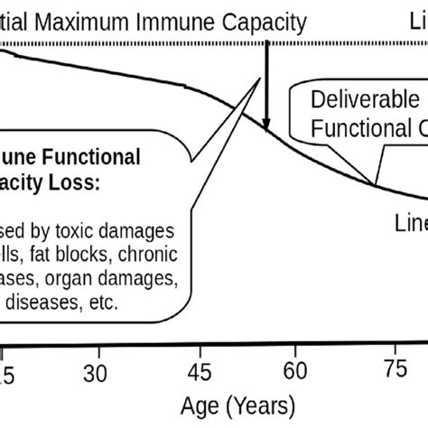 The Biological Half Lives Of Some Exemplar Drugs Substance Biological