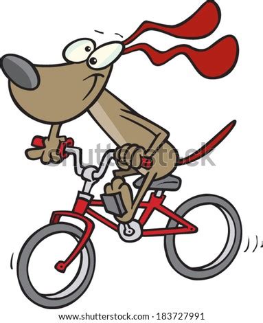 Cartoon Dog Riding A Bike Stock Vector Illustration 183727991 ...